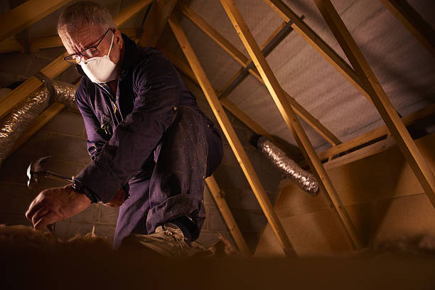 Best Specialty Insulation in Mccom, OH